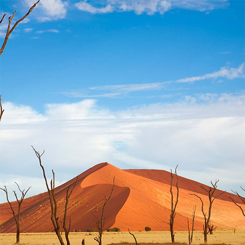 Standard Sossusvlei Scenic