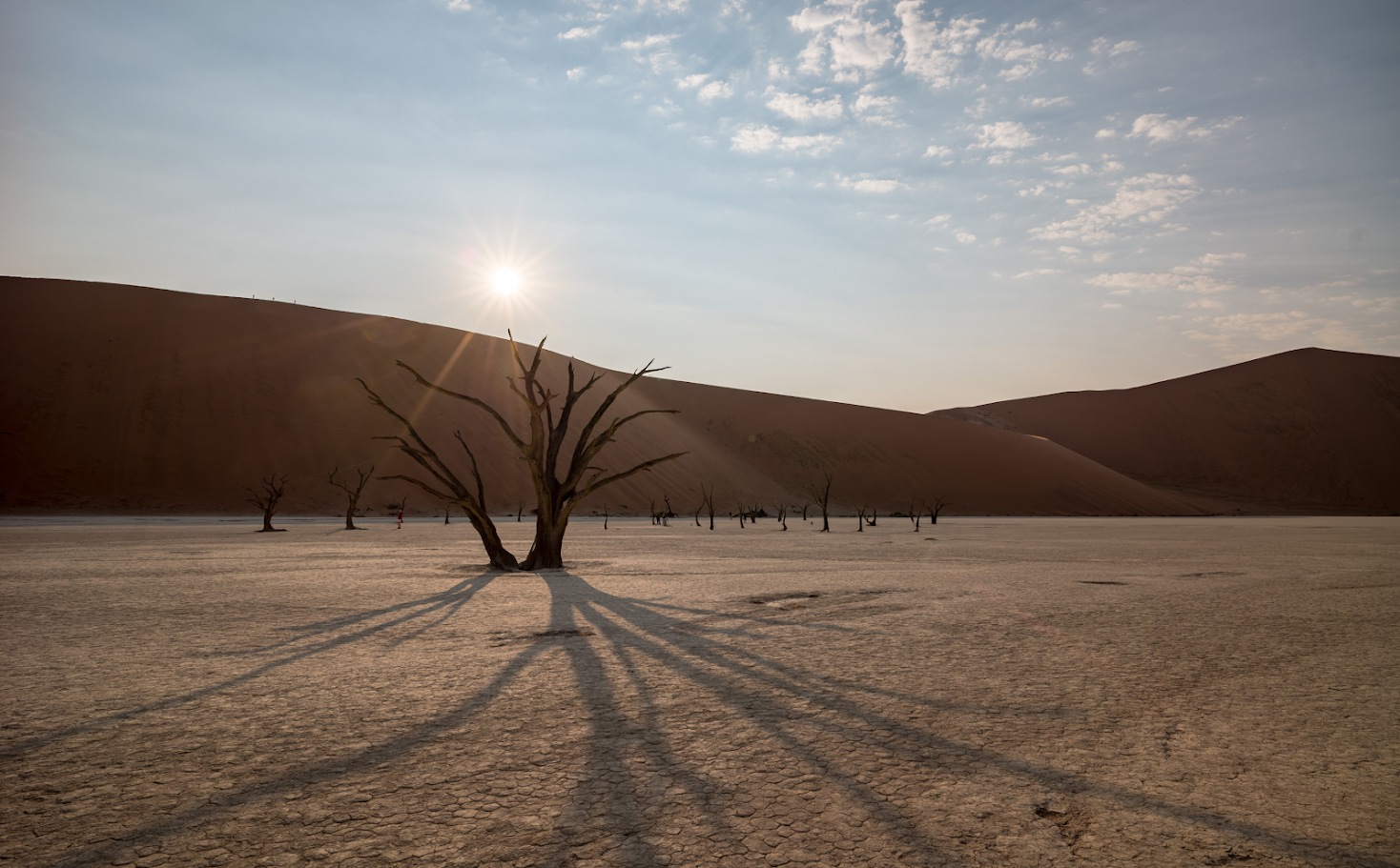 Whispers of the Dunes