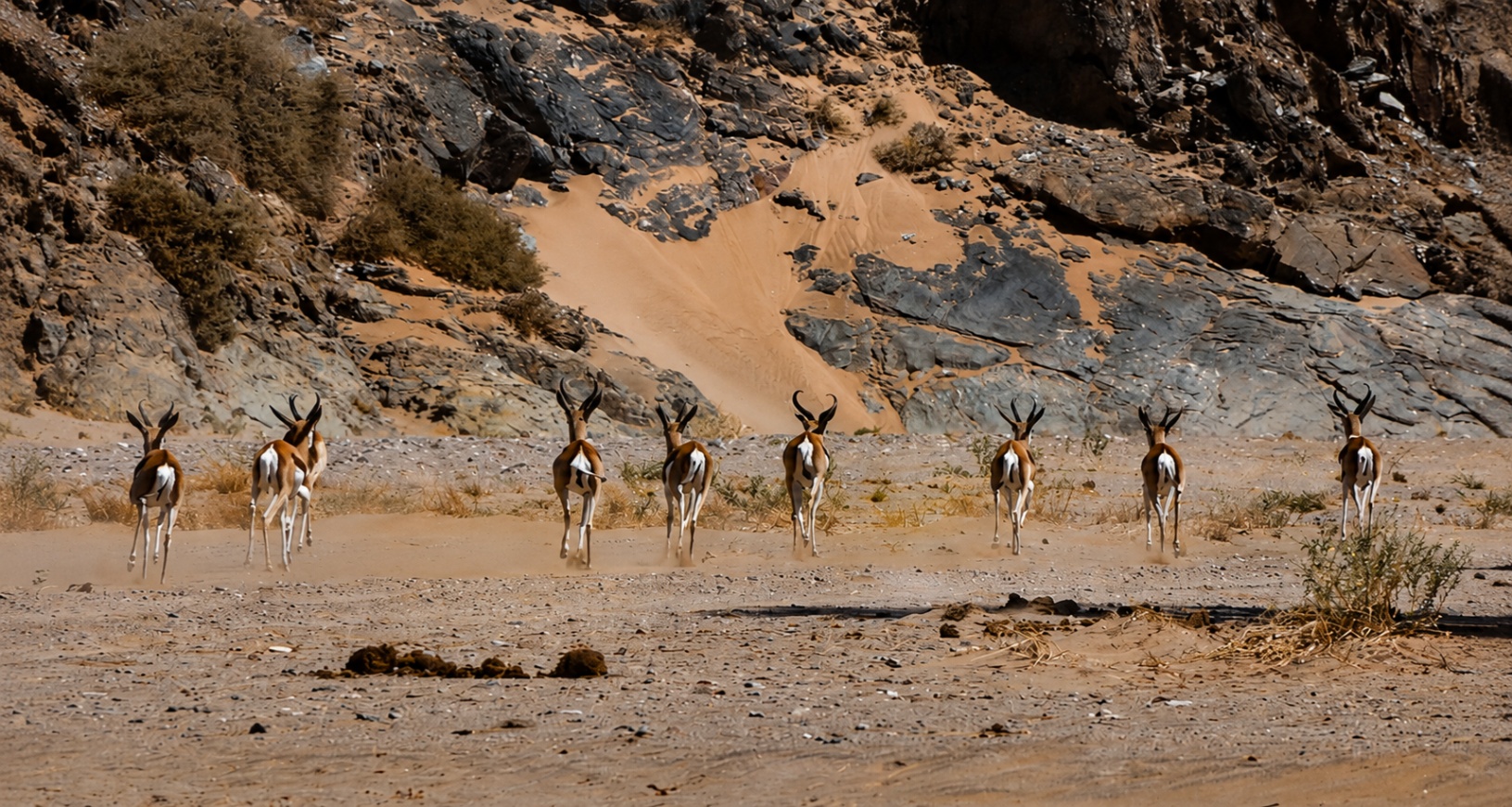 The Dry River valleys of Namibia
